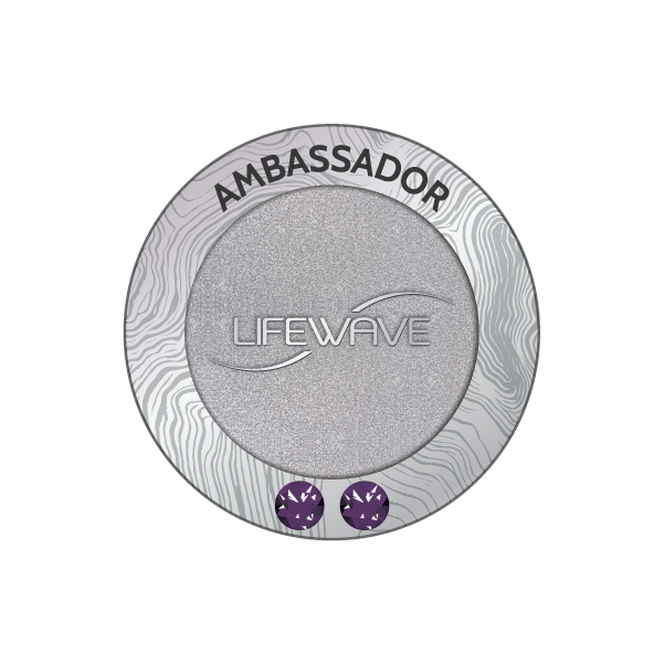 เข็มกลัด Ambassador 2