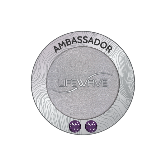 เข็มกลัด Ambassador 2