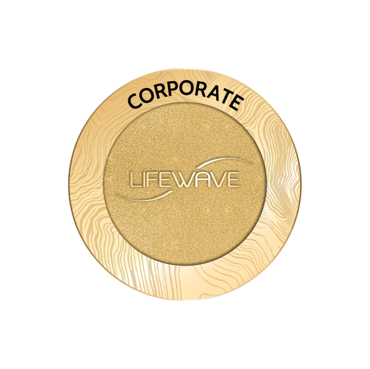 เข็มกลัด Corporate